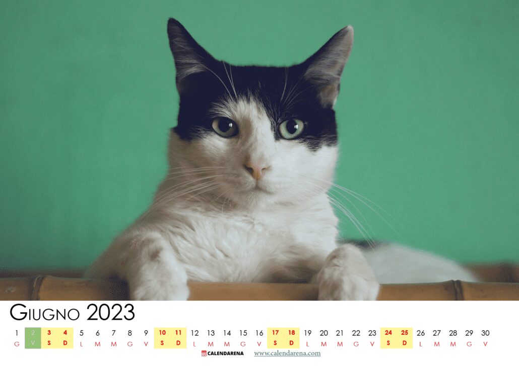 giugno calendario 2023