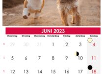 kalender juni belgië 2023