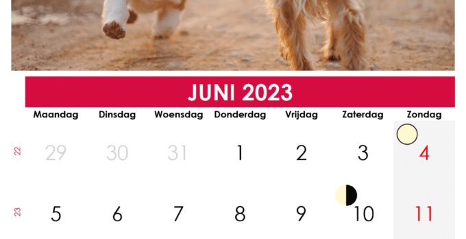 kalender juni belgië 2023