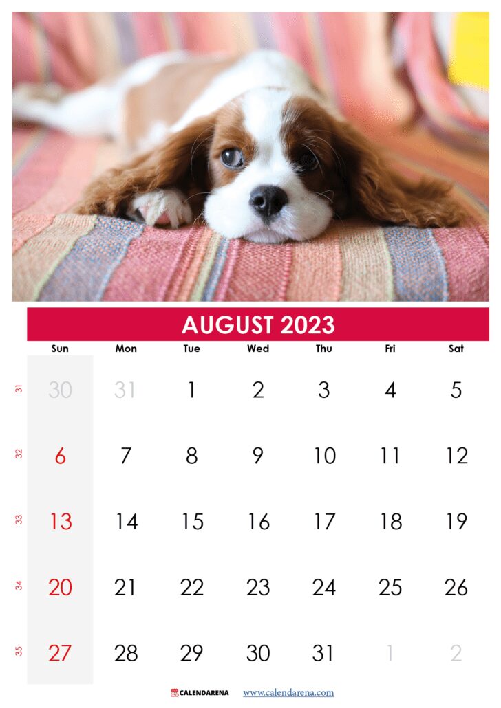 august 2023 calendar with holidays USA