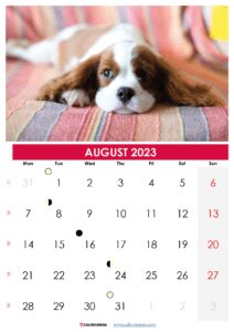 Planning Your August Calendar 2023 Canada