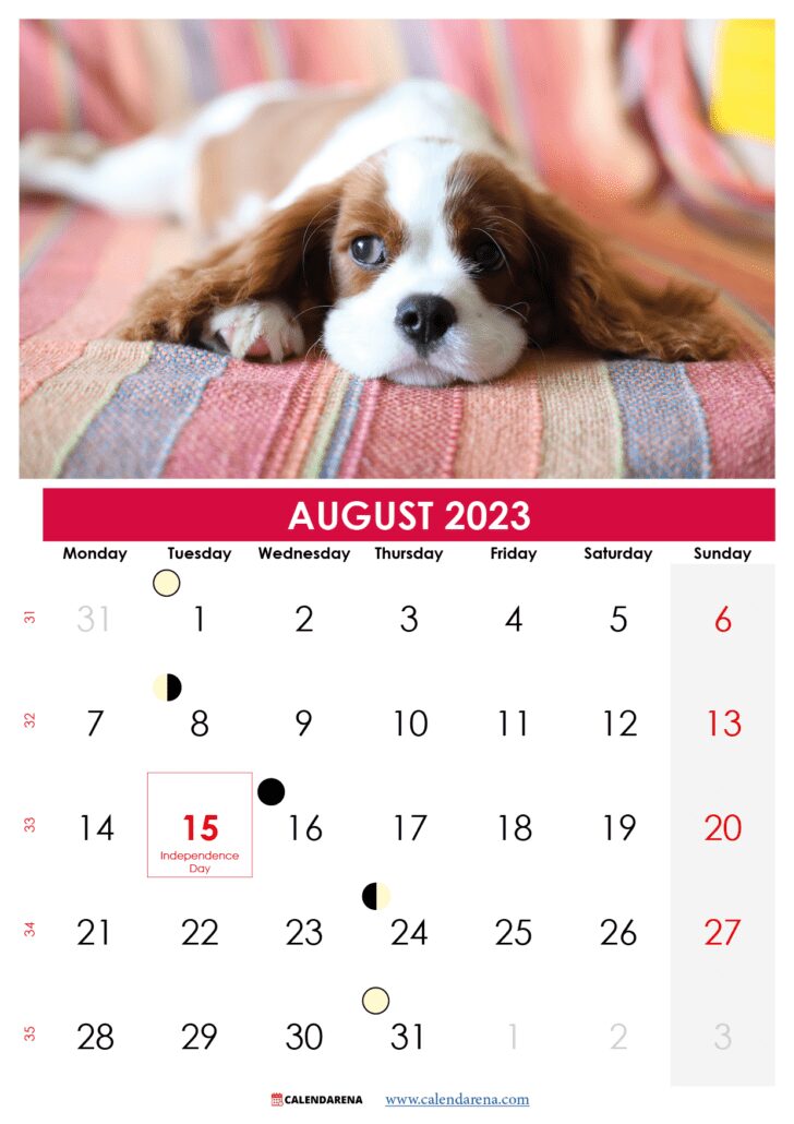 august 2023 calendar with holidays printable india