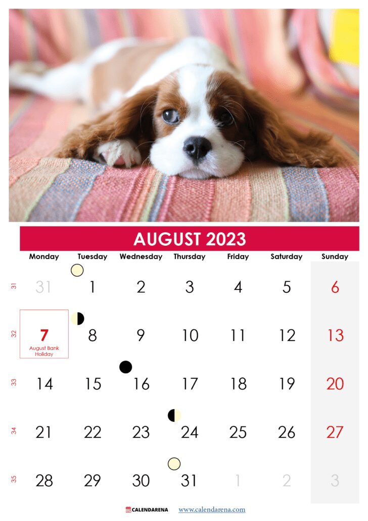 august 2023 calendar with holidays printable ireland
