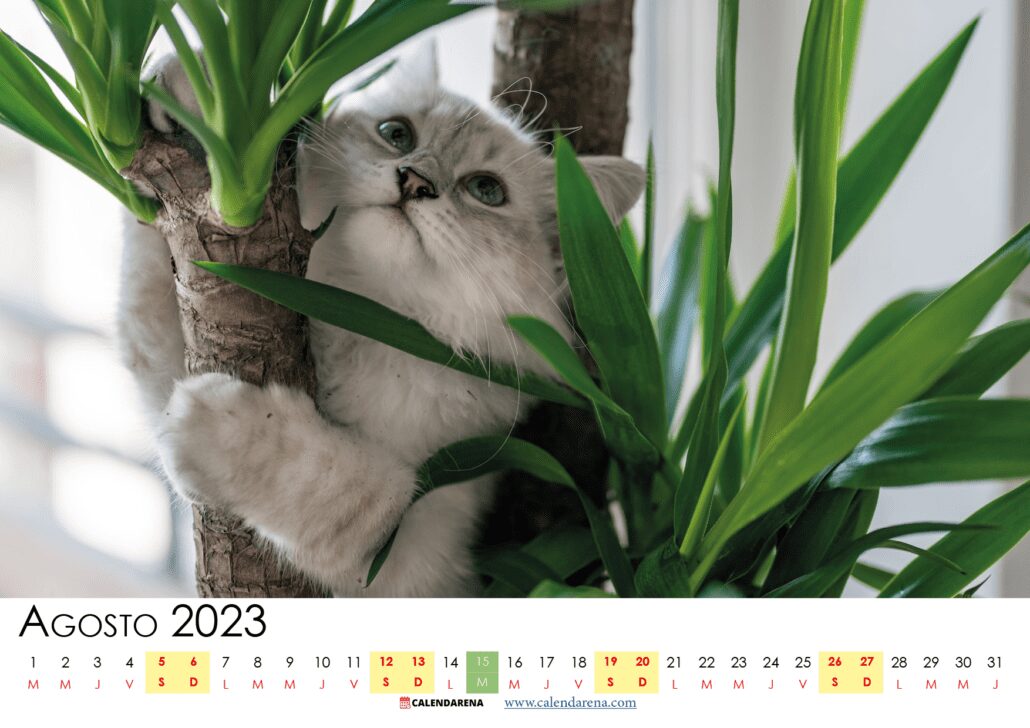 calendario 2023 agosto España