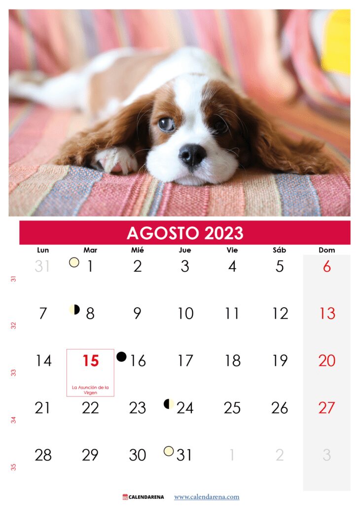 calendario 2023 agosto para imprimir Chile