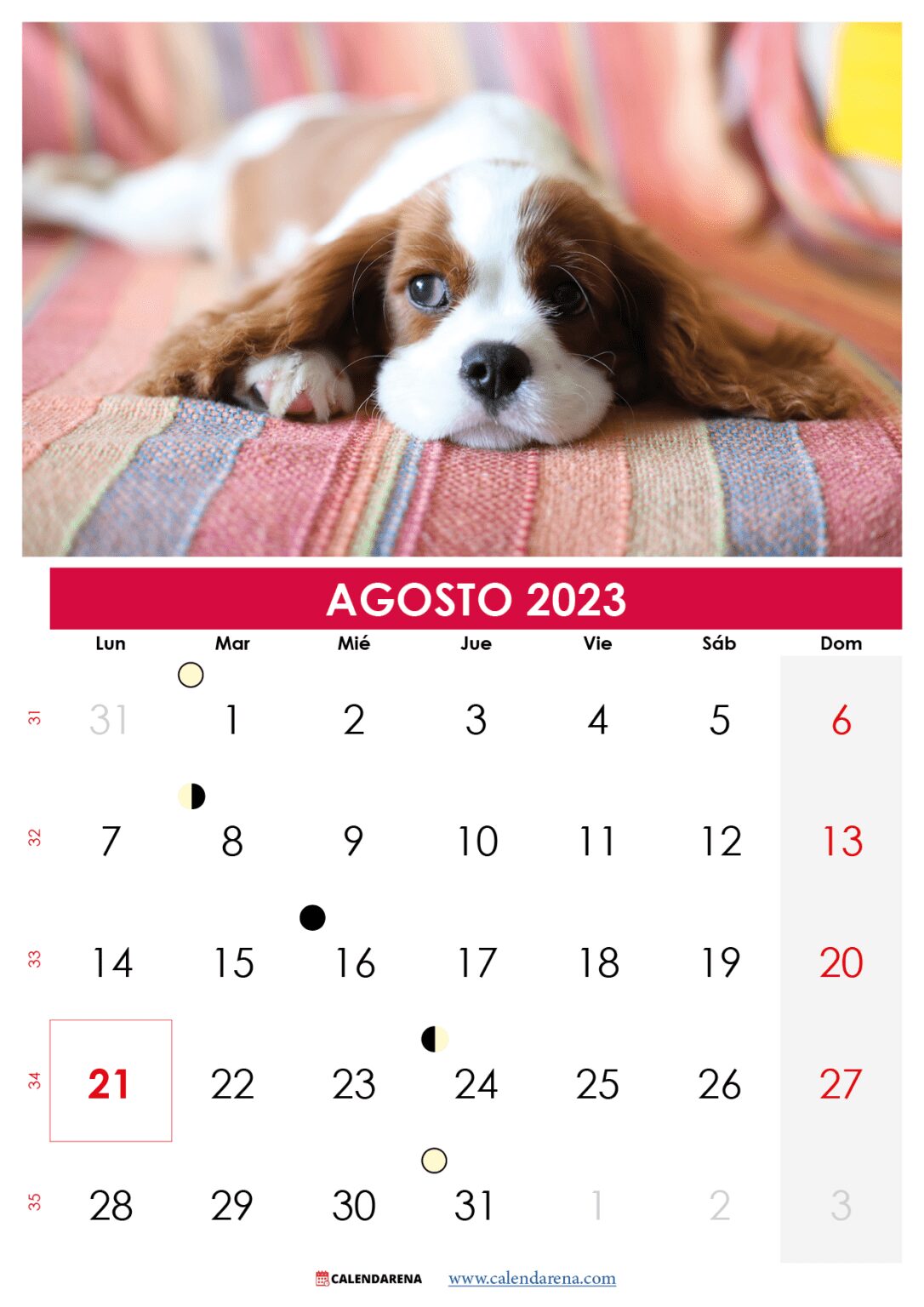 Descargar Calendario Agosto 2023 Argentina