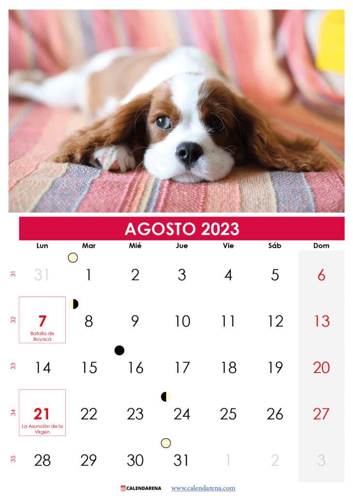 calendario 2023 agosto para imprimir colombia
