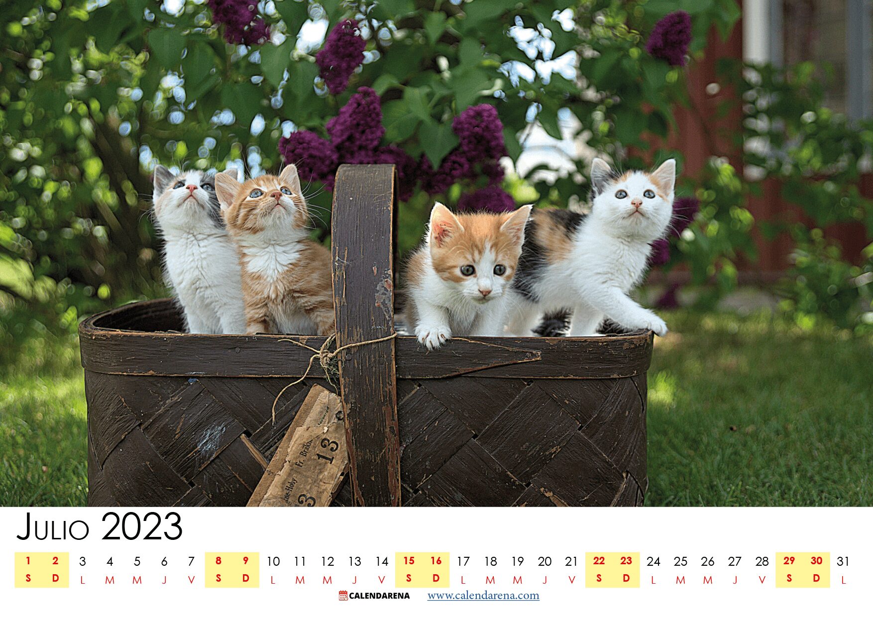 calendario 2023 julio méxico