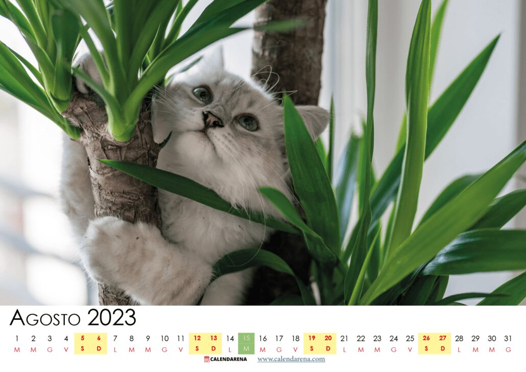 calendario agosto 2023 da stampare italia