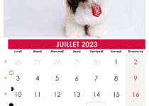 calendrier juillet 23 belgique