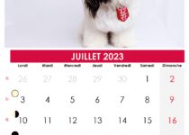 calendrier juillet 23 suisse