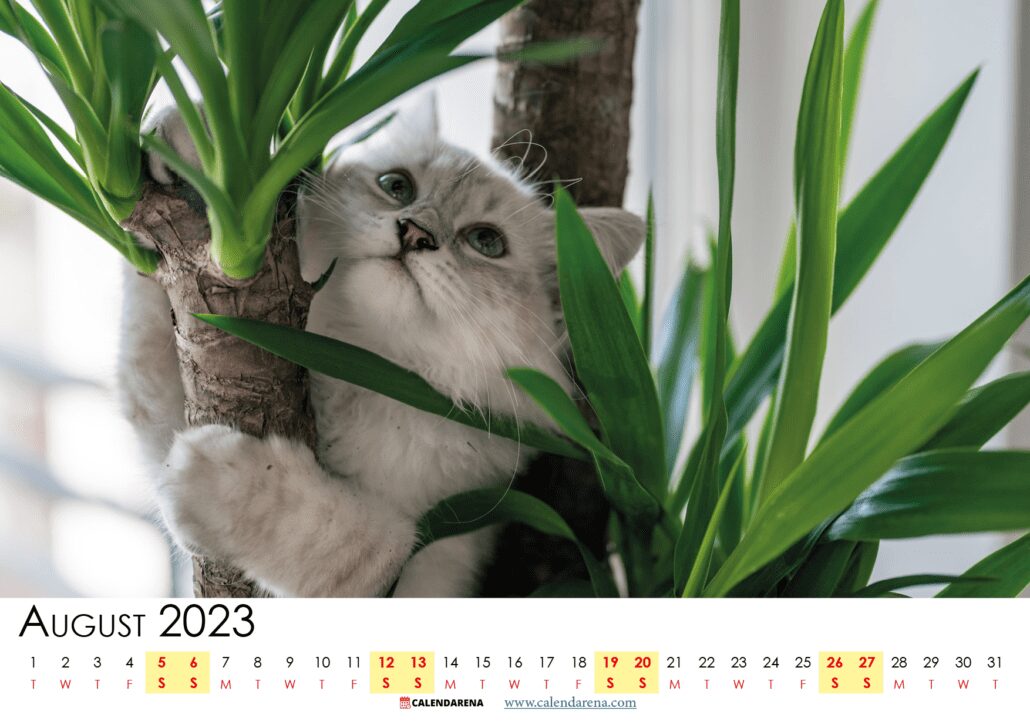 free printable august 2023 calendar UK