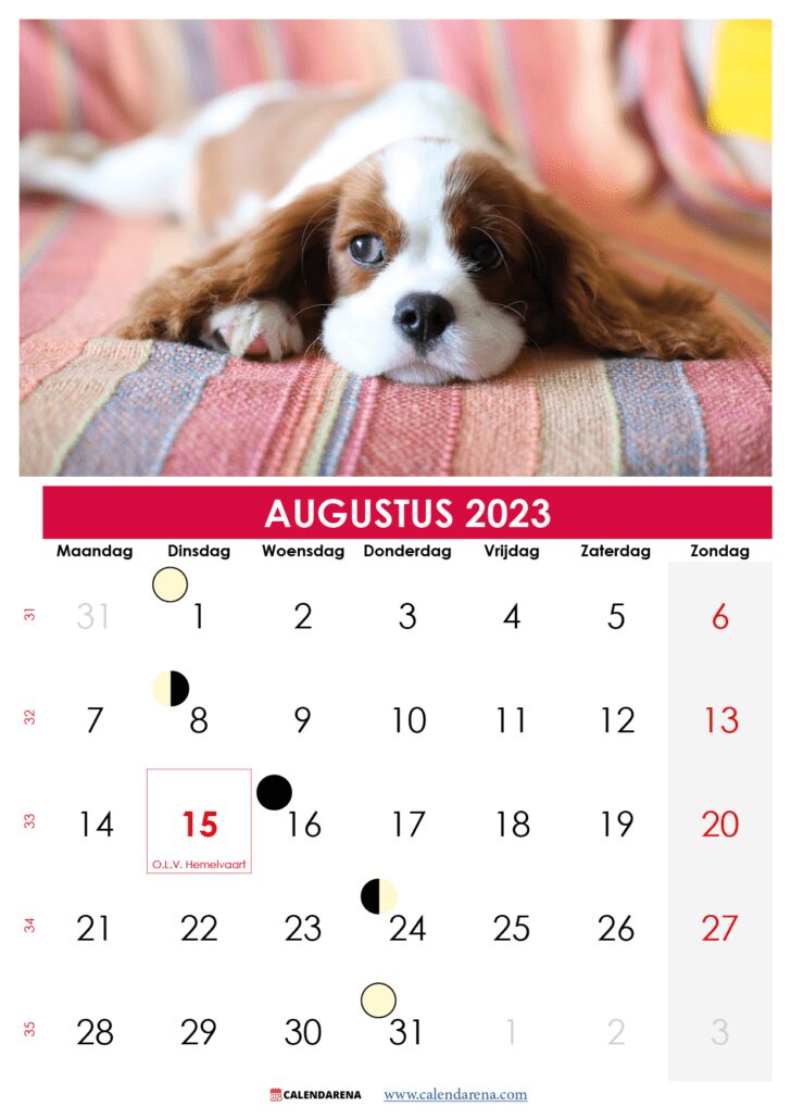 kalender augustus belgië 2023