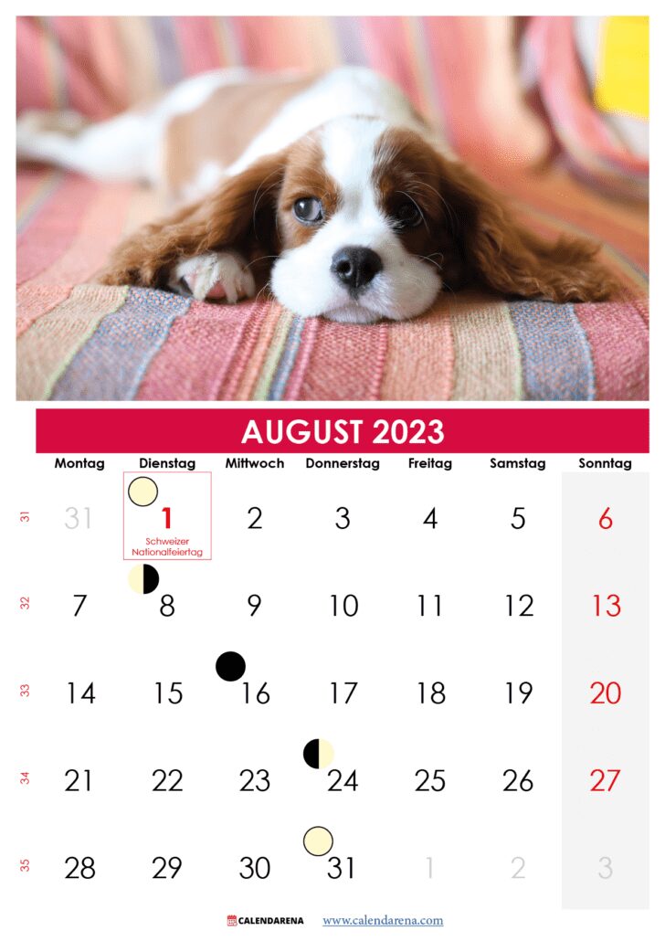 kalender monat august 2023 Schweiz