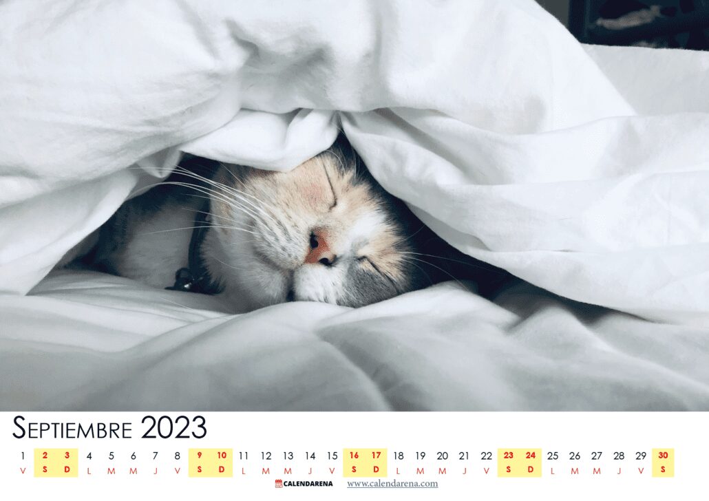 calendario 2023 Septiembre México