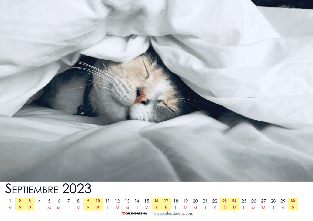 calendario 2023 Septiembre argentina
