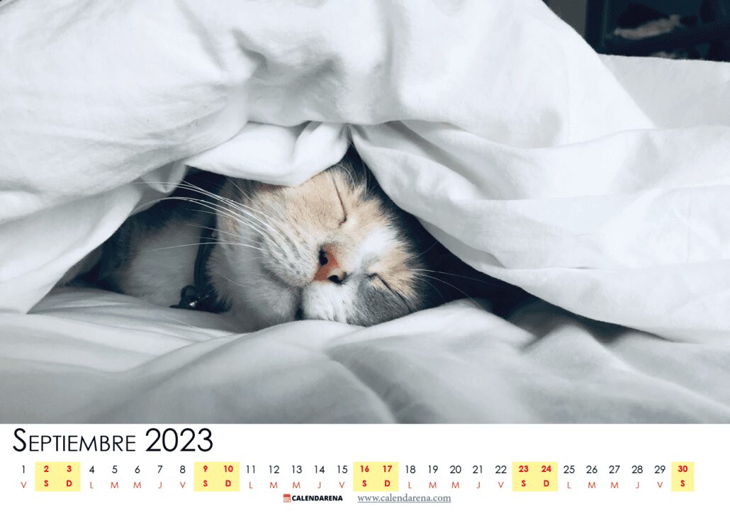 calendario 2023 Septiembre colombia