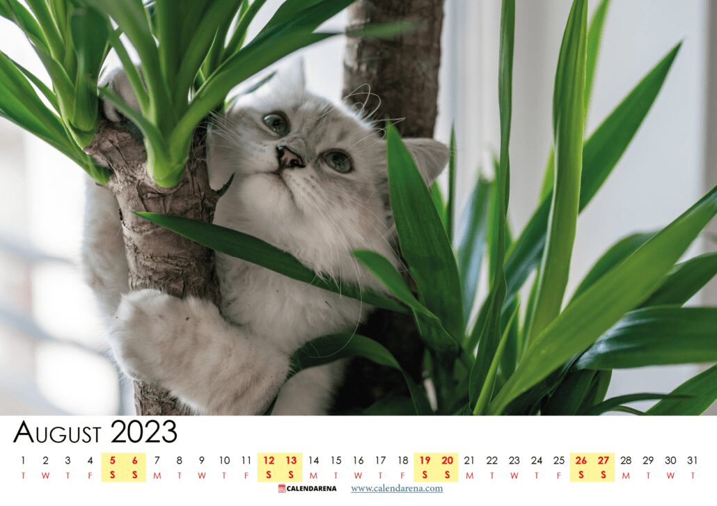 kalender august 2023 pdf Danmark
