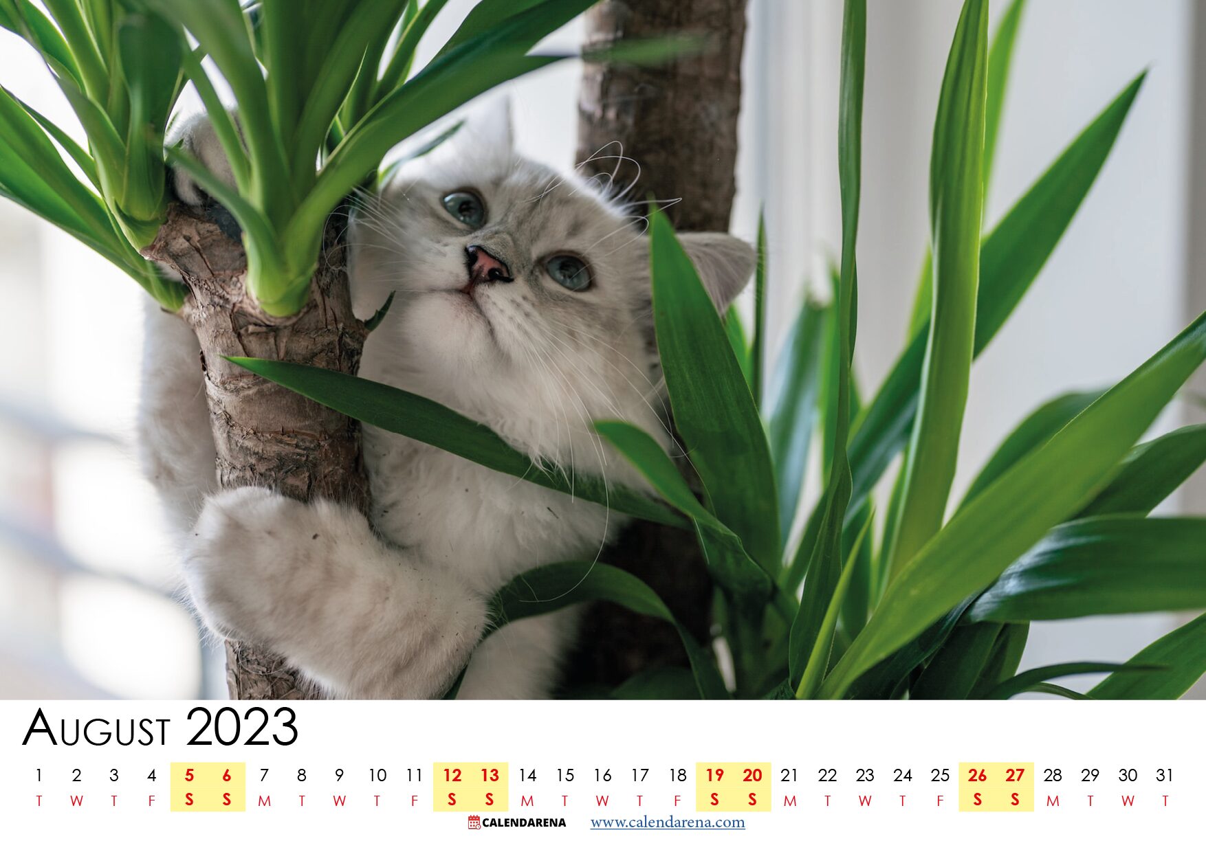 Kalender August 2023 Danmark Med Uger