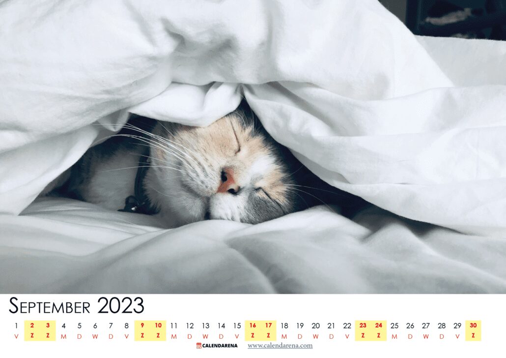 kalender september nederland 2023