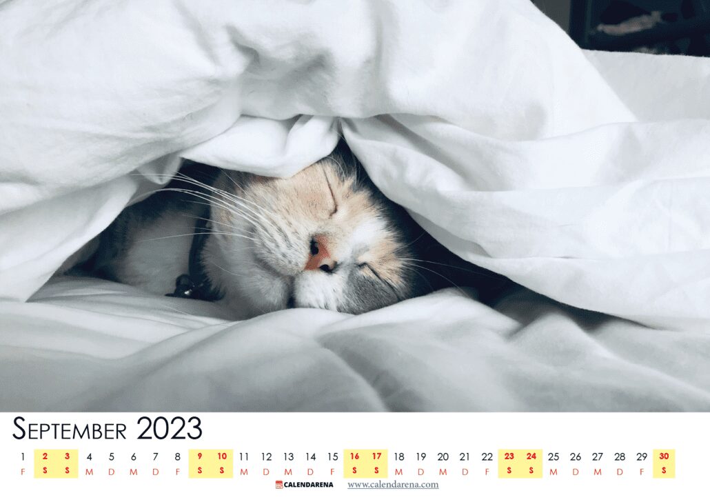 monatskalender september 2023 zum ausdrucken Schweiz