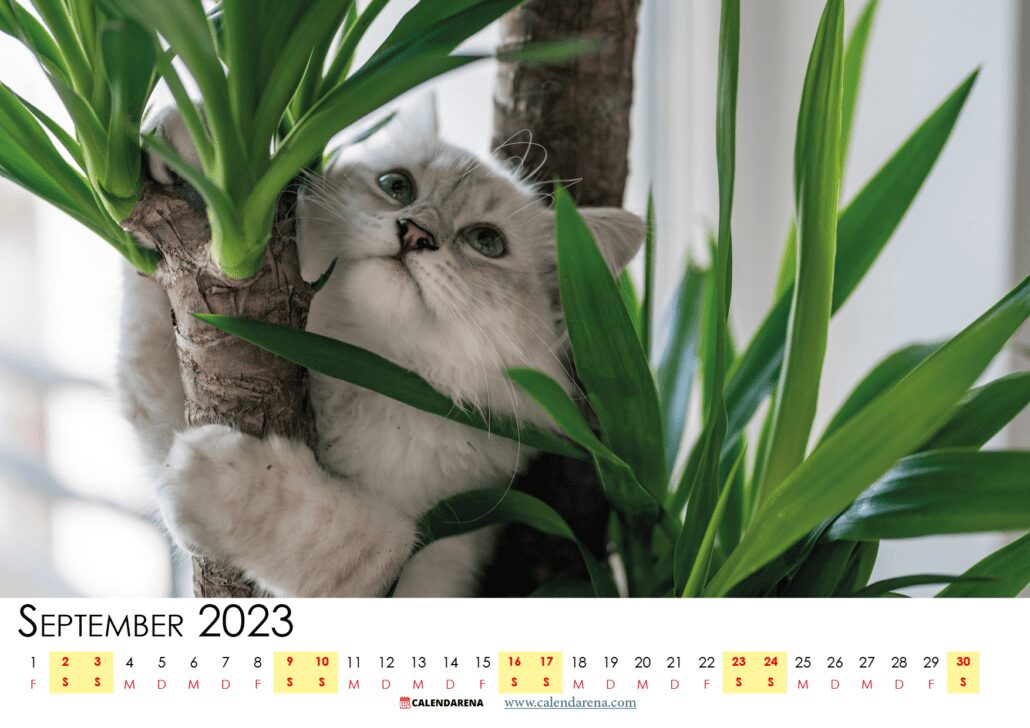 monatskalender september 2023 zum ausdrucken österreich