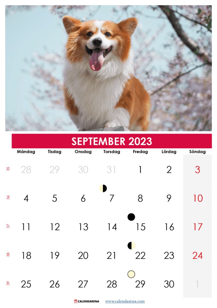 kalender september 2023 mit feiertagen Sverige