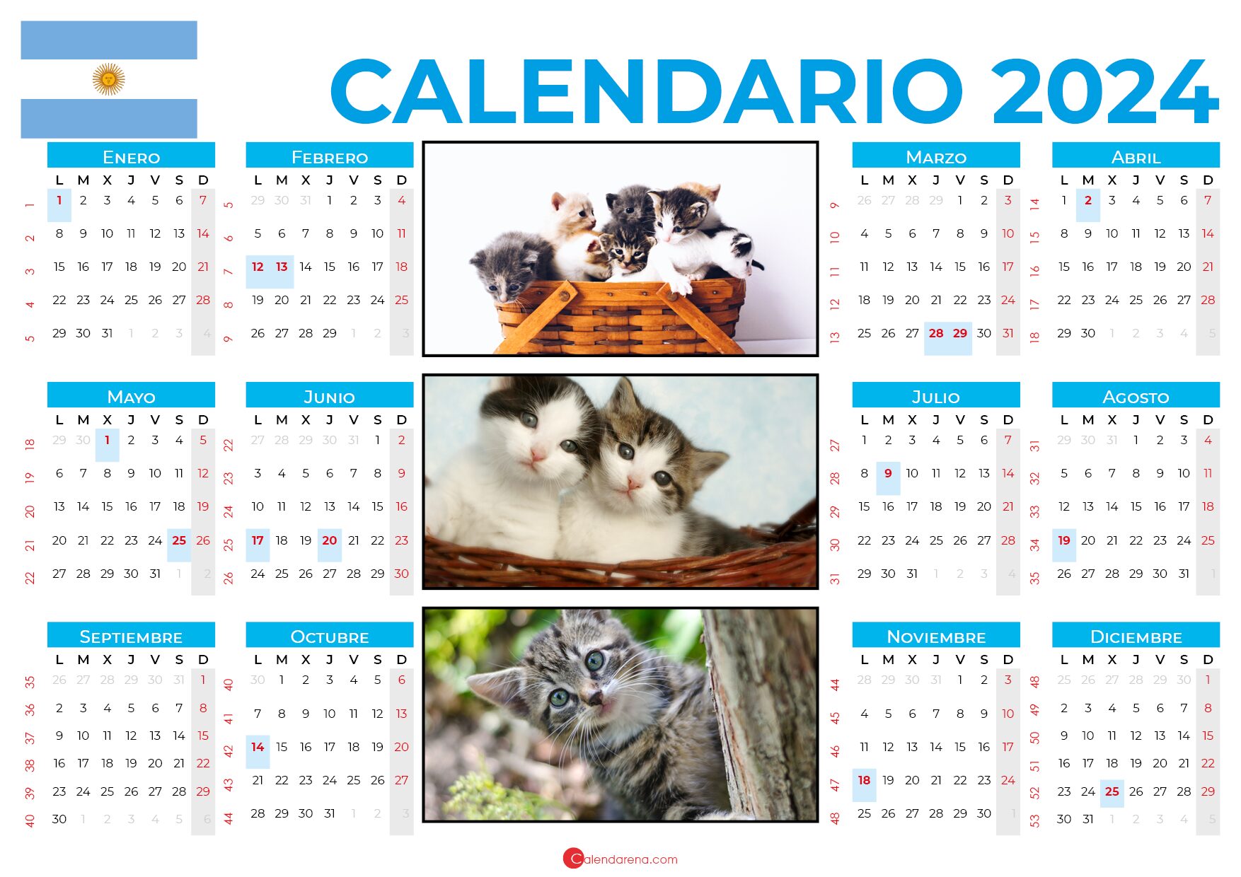 calendario 2024 argentina para imprimir