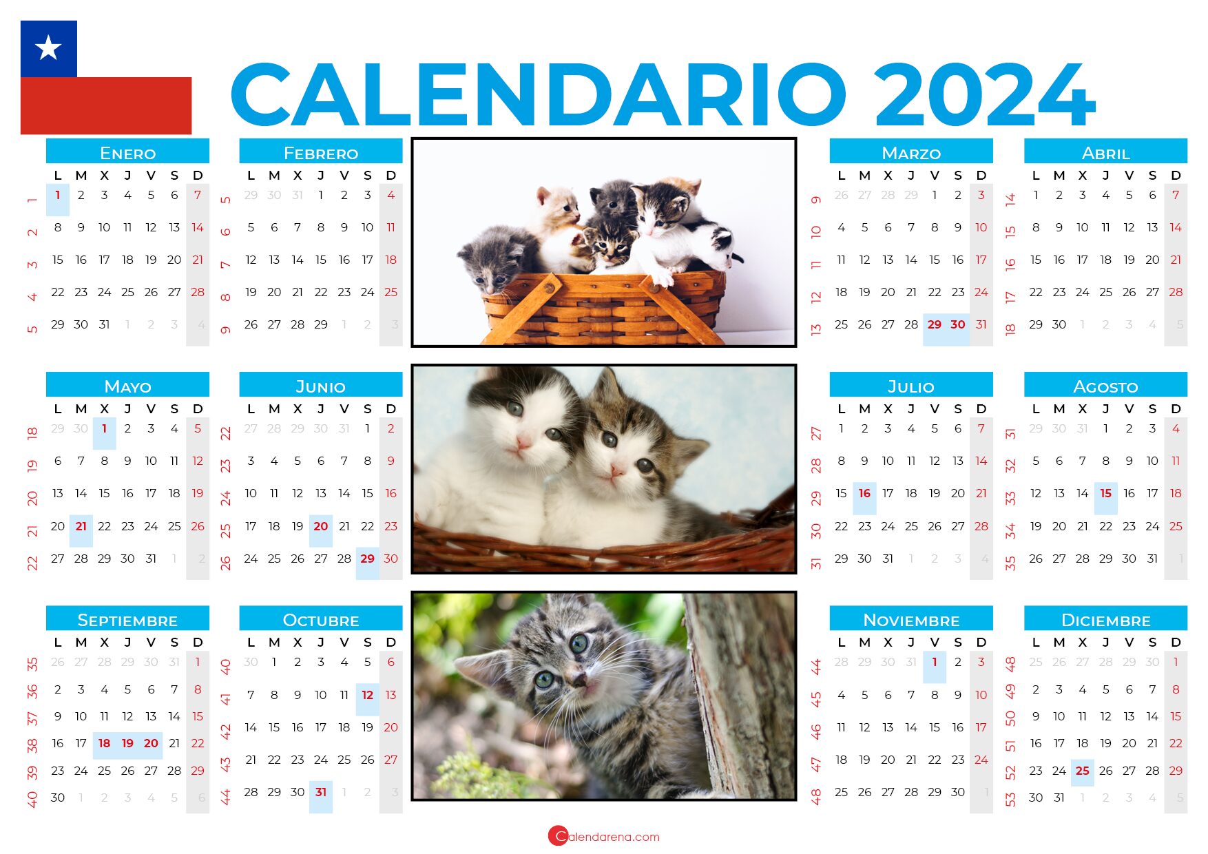 calendario 2024 chile con feriados para imprimir