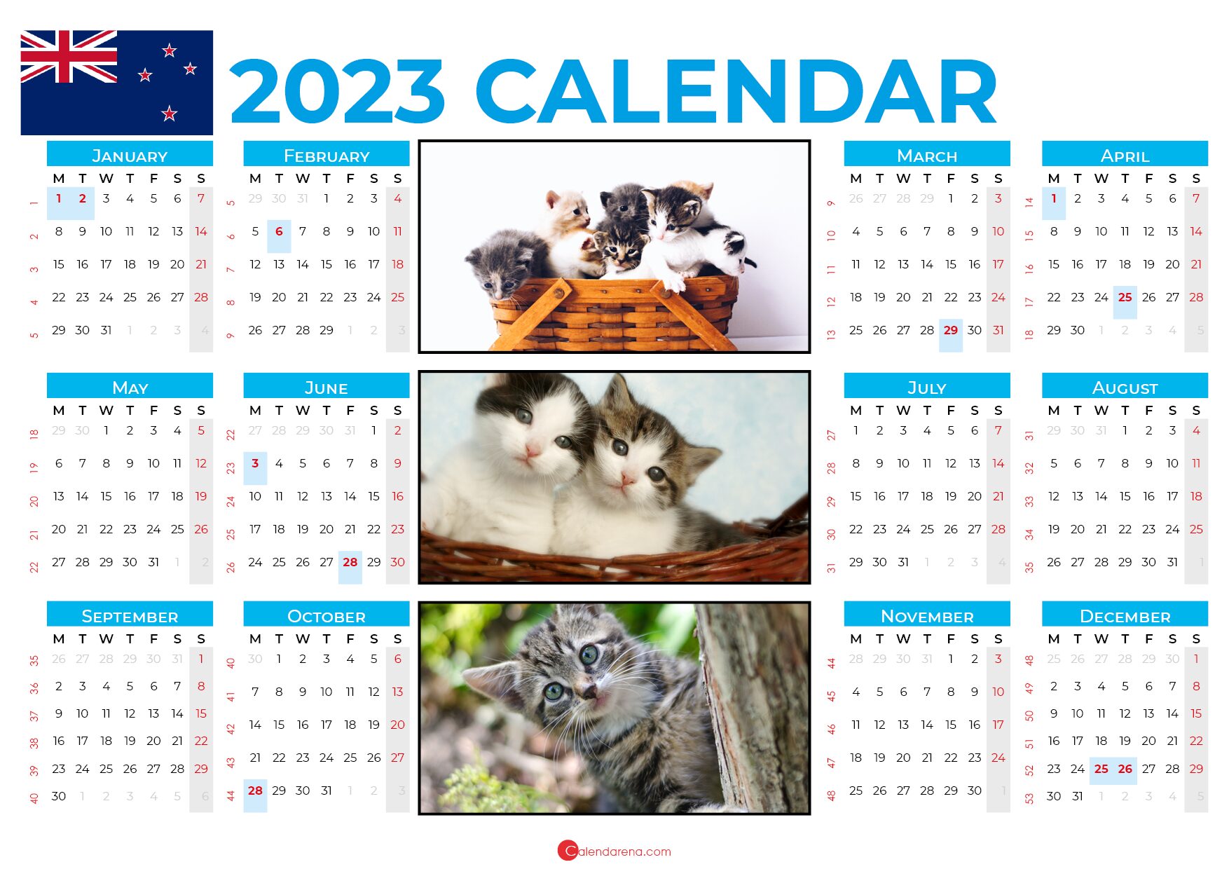 printable calendar 2024 NZ
