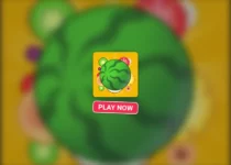 Play Watermelon Game Game Online !